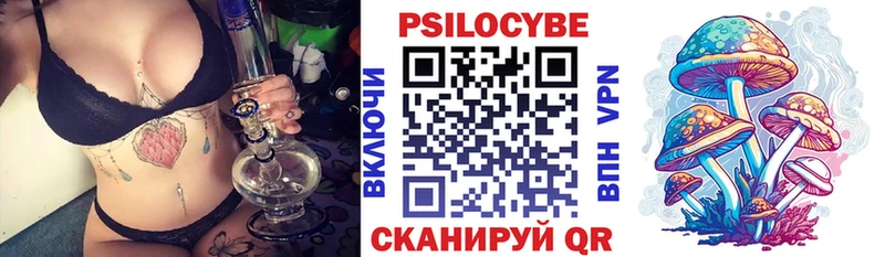 наркотики  hydra   Галлюциногенные грибы Psilocybine cubensis  Сортавала 