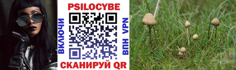 Галлюциногенные грибы мухоморы Сортавала